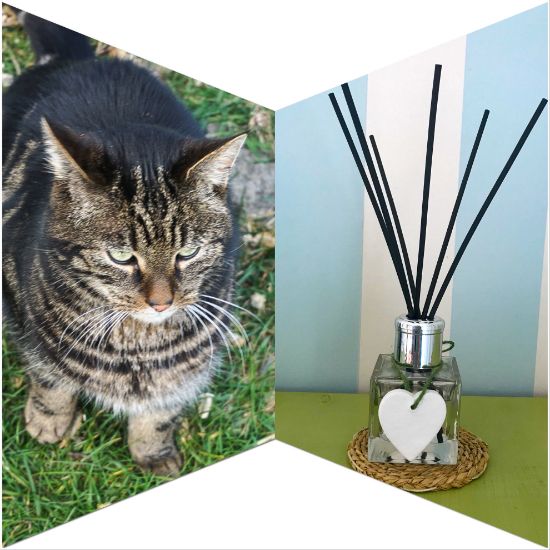 Cat's Whiskers Reed Diffuser